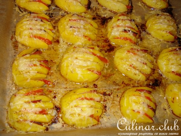 Картофельные ракушки