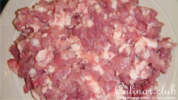 Рубленное свиное мясо с грибами и спагетти.