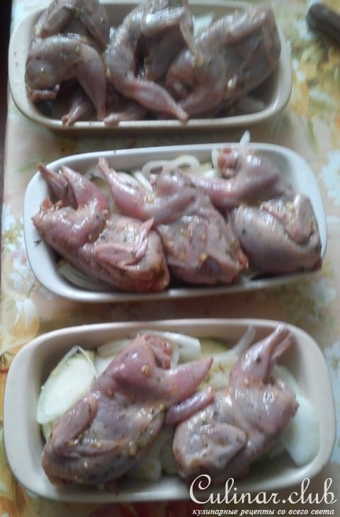 Перепелки, перепелки! (в духовке вкуснее)))
