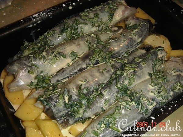 Ледяная рыба под горчичным соусом