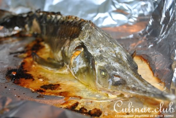Деликатесный осетр, фаршированный к празднику или Very Important Fish