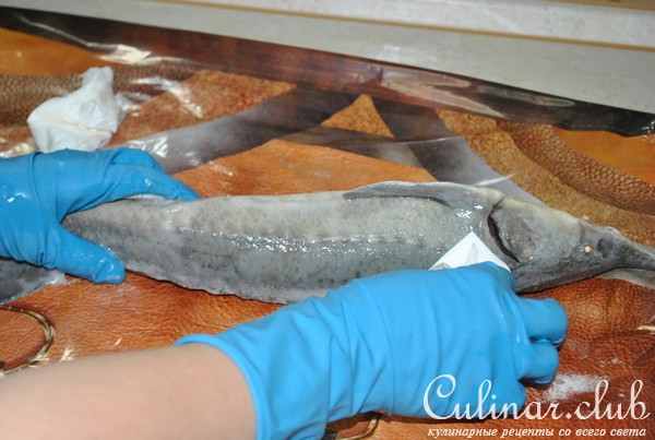 Деликатесный осетр, фаршированный к празднику или Very Important Fish