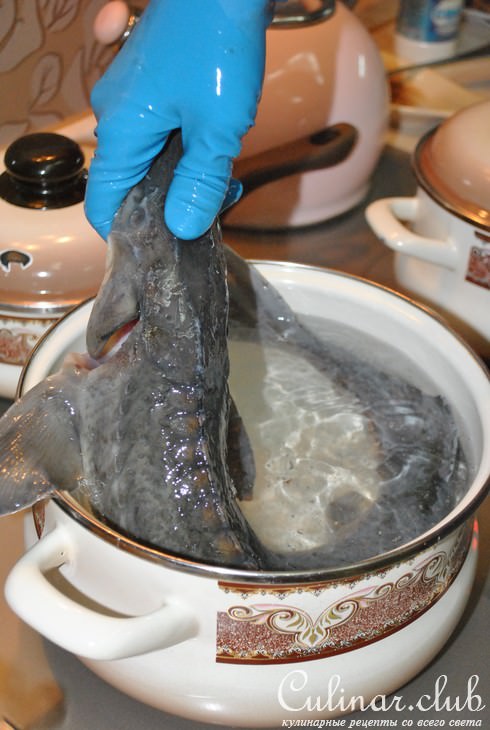 Деликатесный осетр, фаршированный к празднику или Very Important Fish