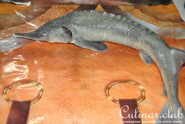 Деликатесный осетр, фаршированный к празднику или Very Important Fish