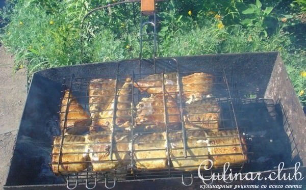 Самая вкусная скумбрия на гриле под маринадом .100% блюдо для пикника.