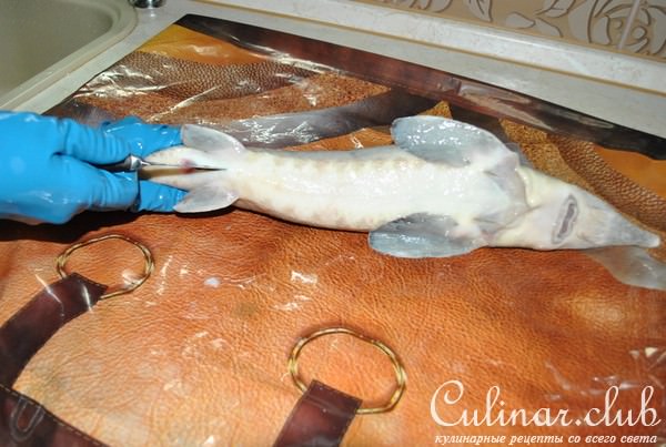 Деликатесный осетр, фаршированный к празднику или Very Important Fish