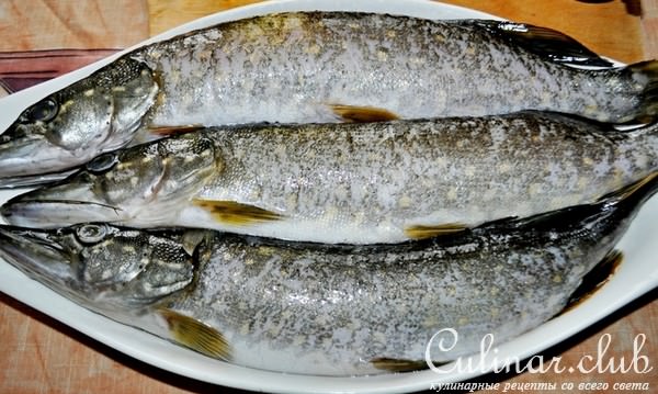 Котлеты из щуки с пряными травами