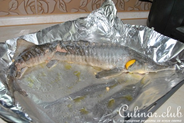 Деликатесный осетр, фаршированный к празднику или Very Important Fish