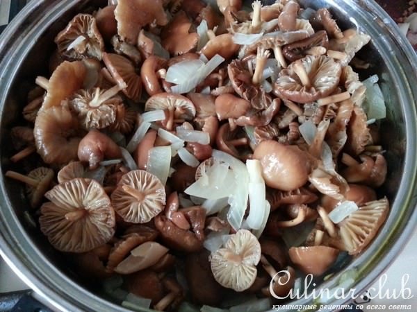 Слоеный гречник