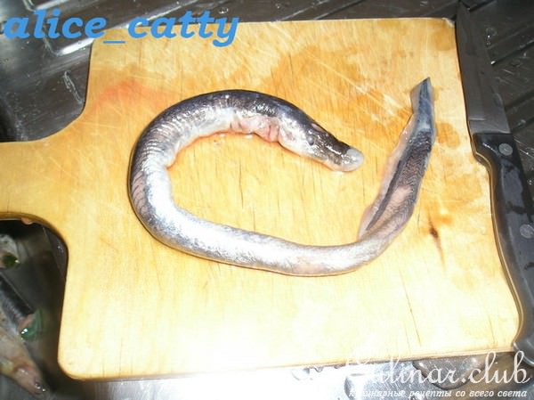 МИНОГА ЗАПЕЧЕННАЯ