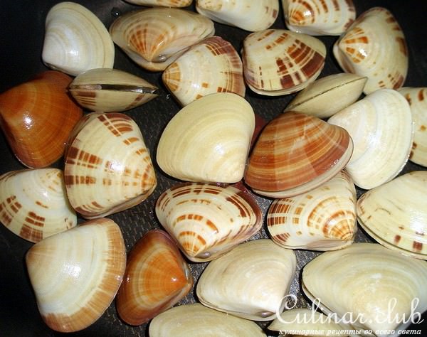 Вареные морские ракушки