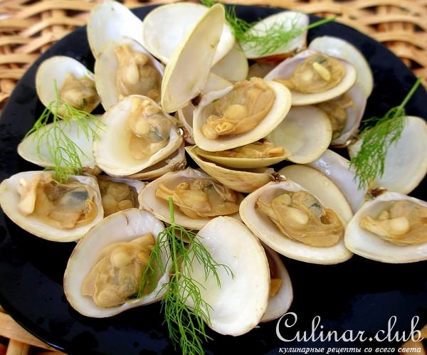 Вареные морские ракушки