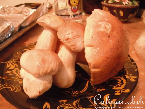вяленые белые грибы