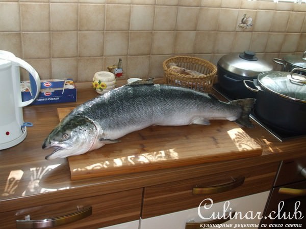 Свежесолёный лосось