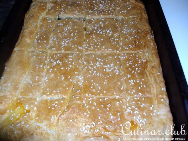 Пирог мясной с овощными нотками