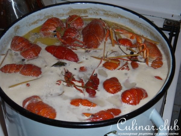 Раки в молоке и пиве