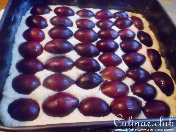Zwetchgenkuchen - Баварский сливовый пирог