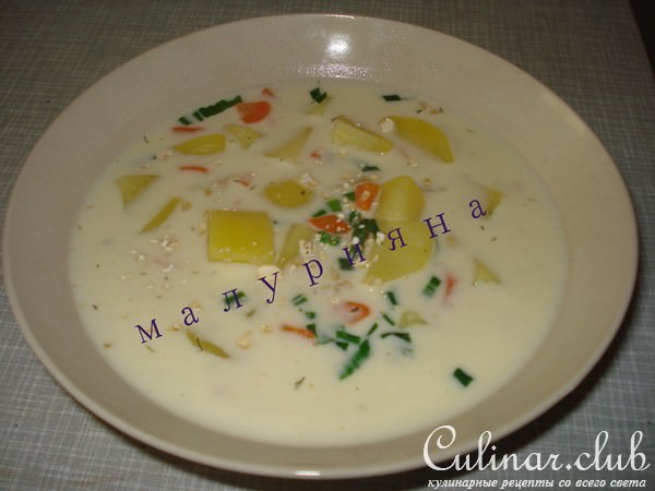 Сырный суп с Геркулесом и черемшой