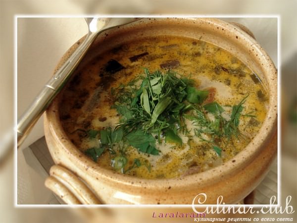 Суп от ДРУЗЕЙ - да с баклажаными, да из Киева, да вкуснющий очень!